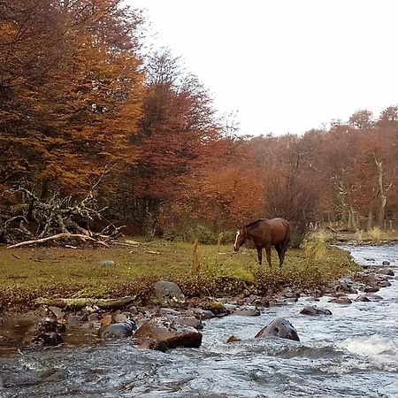 ホテル Bosque Holistico Del Fin Del Mundo ウシュアイア 部屋 写真